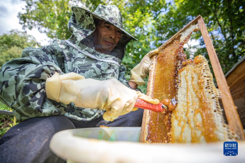 梭哈下载免费
